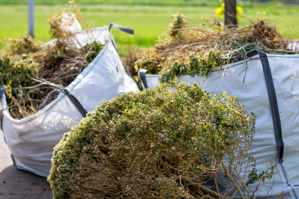 Attic Cleanout Services in Alexandria, IN